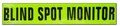Blindspot Monitoring