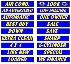 Blue/Yellow Slogan Decals
