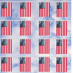 60' U.S. Cloth Flag Pennant