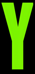 Y